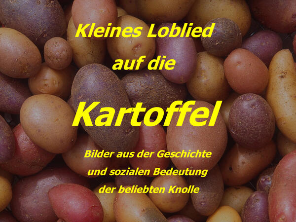 Geschichte und soziale Bedeutung der Kartoffel