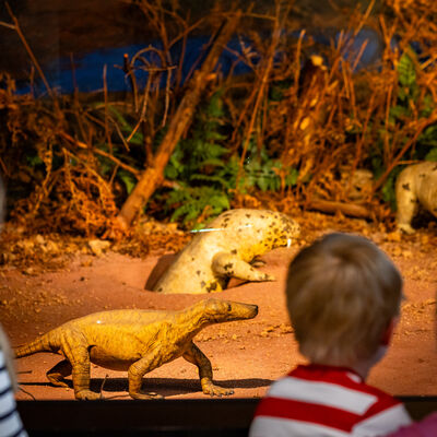 Bild vergrößern: Diorama zur Korbacher Spalte